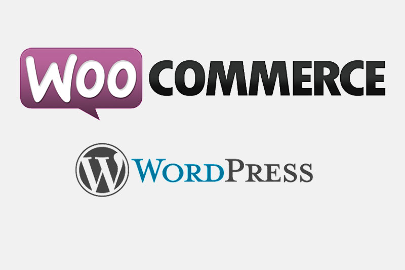 ADMINISTRACION DE ECOMMERCE: WORDPRESS + WOOCOMMERCE